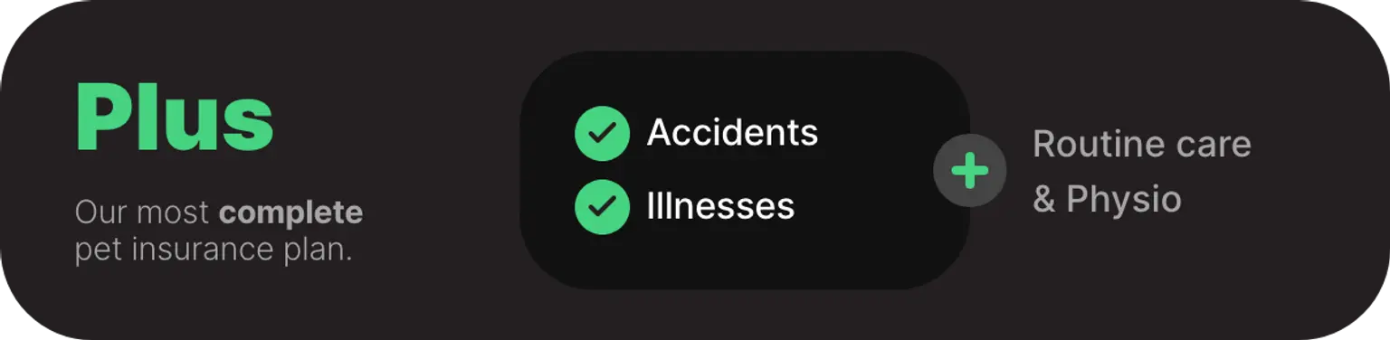 Plus pet insurance plan with accident and illness cover plus routine care and physio